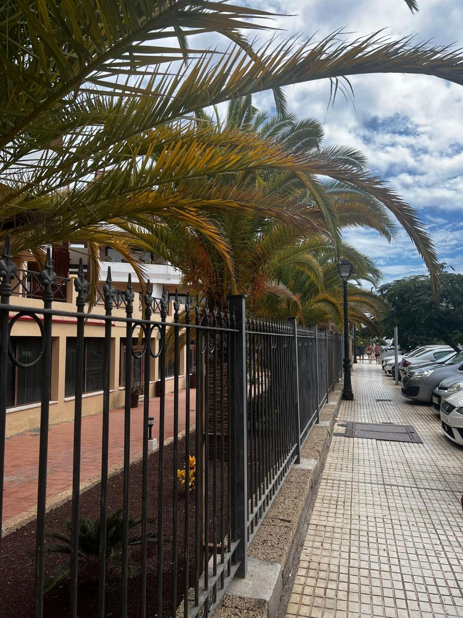 Sunny Suite San Miguel de Abona Exterior foto